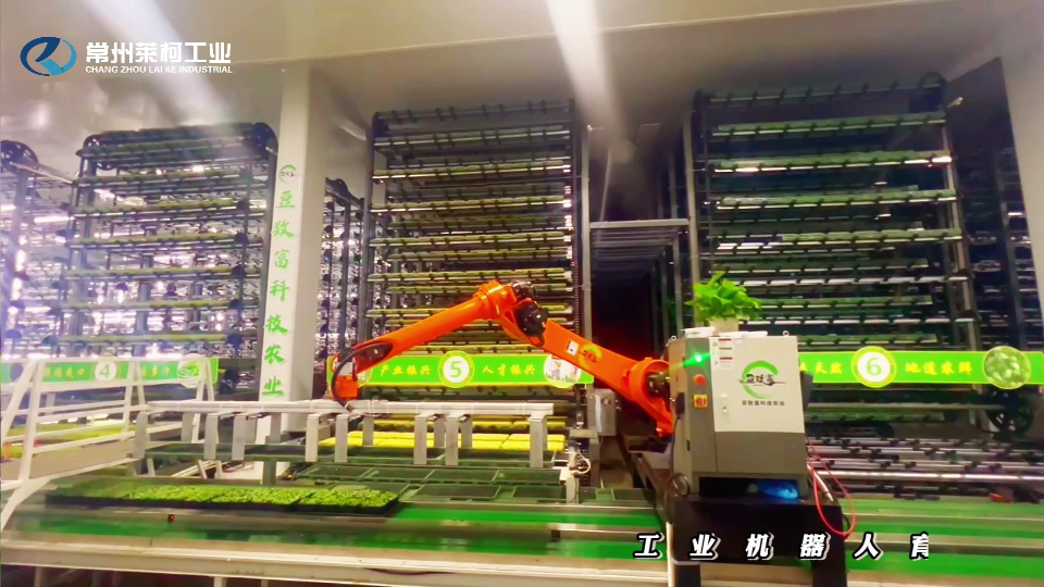 育秧盤碼垛搬運機器人案例展示江蘇常州萊柯工業！